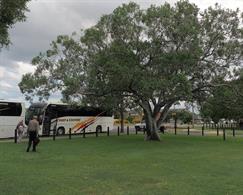 The buses that brought us to Alexander Park